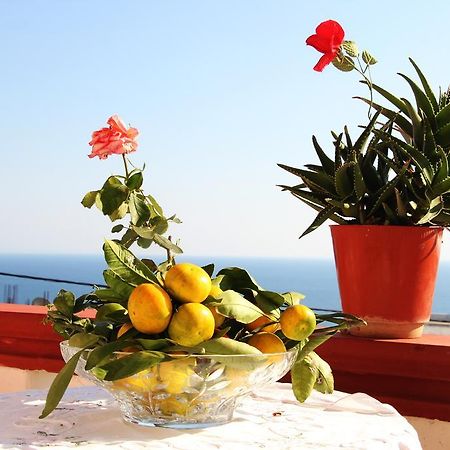Alvanita Apartments Ulcinj Exterior foto